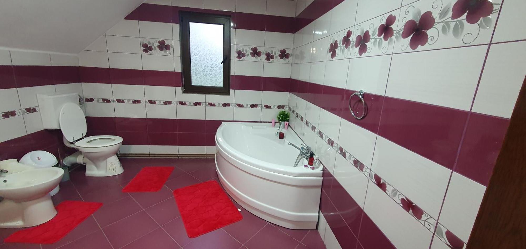 Villa Casa Andrada à Horezu Extérieur photo